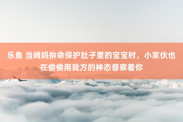乐鱼 当姆妈拚命保护肚子里的宝宝时，小家伙也在偷偷用我方的神态督察着你