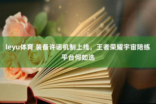 leyu体育 装备许诺机制上线，王者荣耀宇宙陪练平台何如选