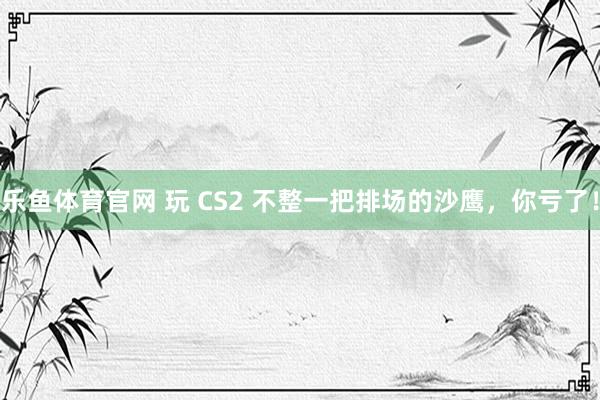 乐鱼体育官网 玩 CS2 不整一把排场的沙鹰，你亏了！