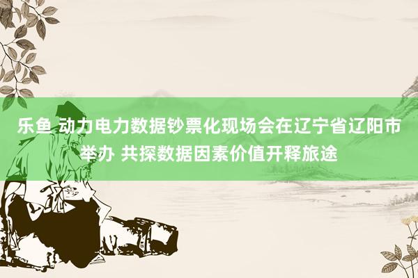 乐鱼 动力电力数据钞票化现场会在辽宁省辽阳市举办 共探数据因素价值开释旅途