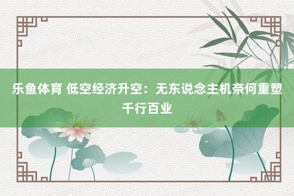 乐鱼体育 低空经济升空：无东说念主机奈何重塑千行百业